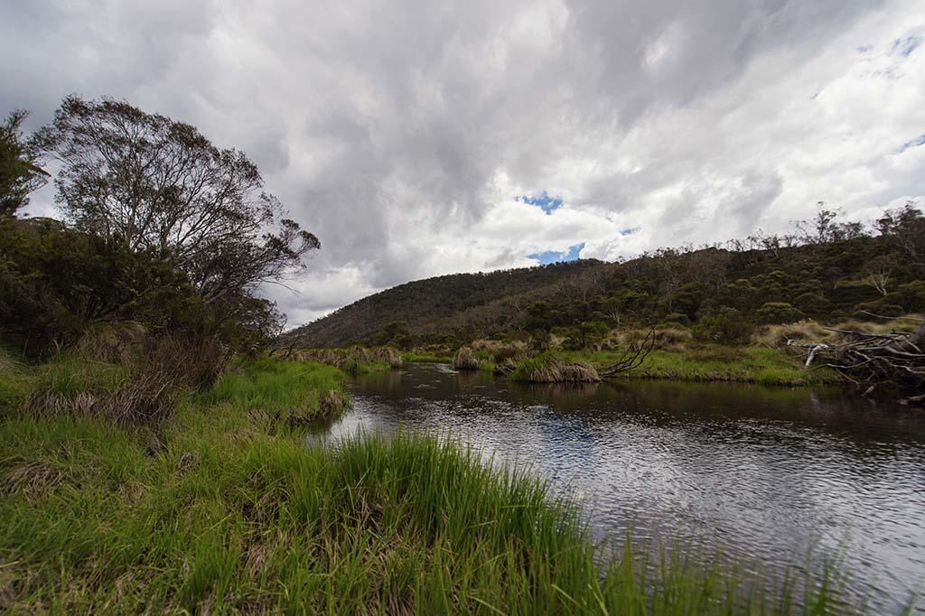 Rainbow Pines Tourist Caravan Park Adaminaby Exteriör bild