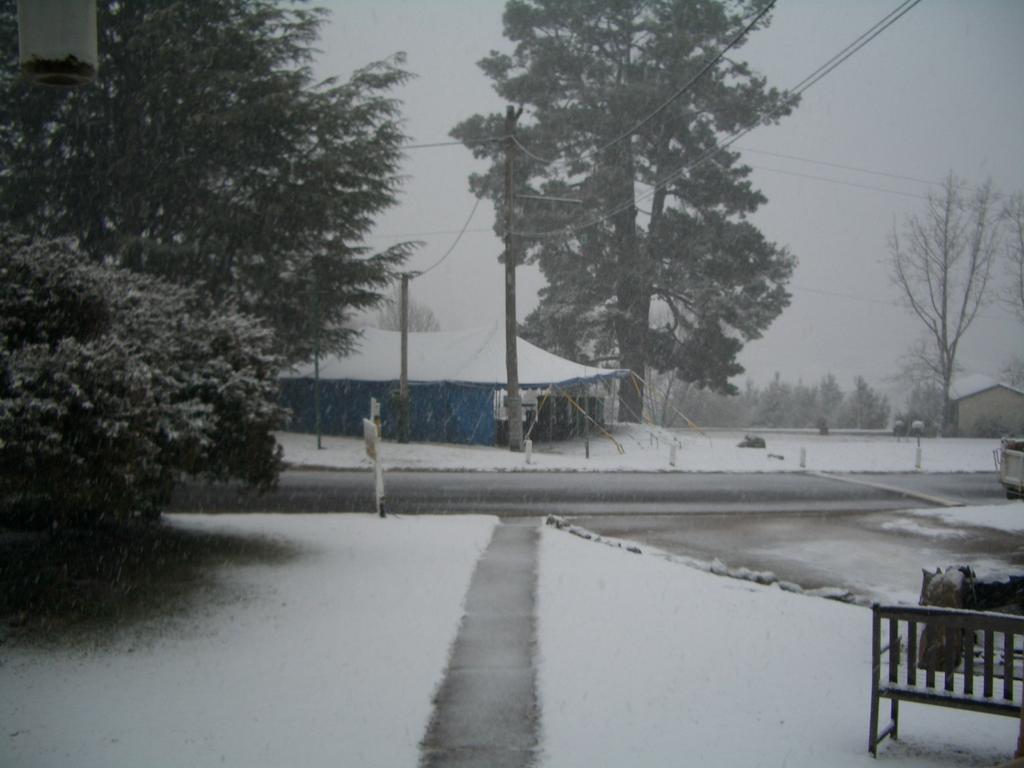 Rainbow Pines Tourist Caravan Park Adaminaby Exteriör bild